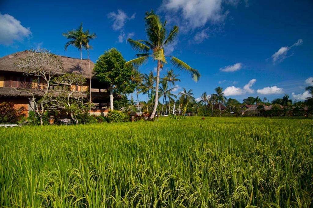 Agung Raka Villa Ubud  Exterior photo