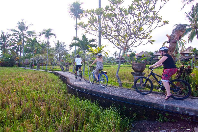 Agung Raka Villa Ubud  Exterior photo