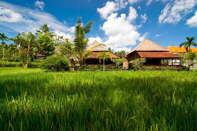 Agung Raka Villa Ubud  Exterior photo