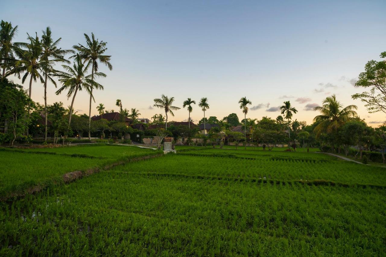 Agung Raka Villa Ubud  Exterior photo